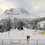 Alpinhotel Bort 3* Grindelwald