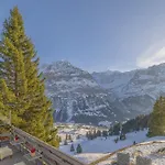 Hotel Alpinhotel Bort Grindelwald