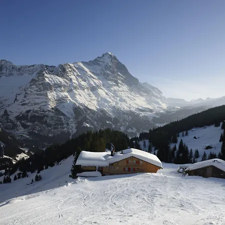 Alpinhotel Bort Grindelwald