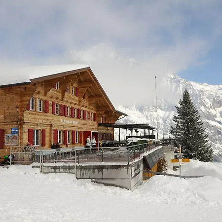 Alpinhotel Bort فندق