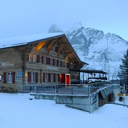 Hotel Alpinhotel Bort