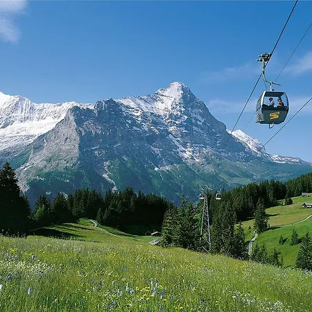 Alpinhotel Bort 3*