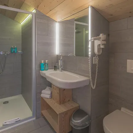 Alpinhotel Bort فندق