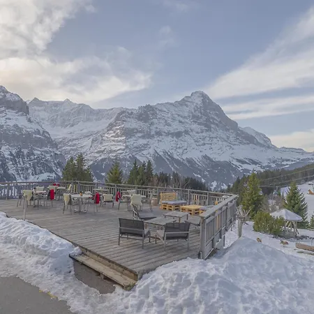 Alpinhotel Bort 3* جريندلوالد