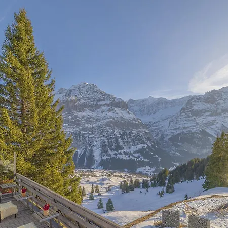 ホテル Alpinhotel Bort グリンデルヴァルト