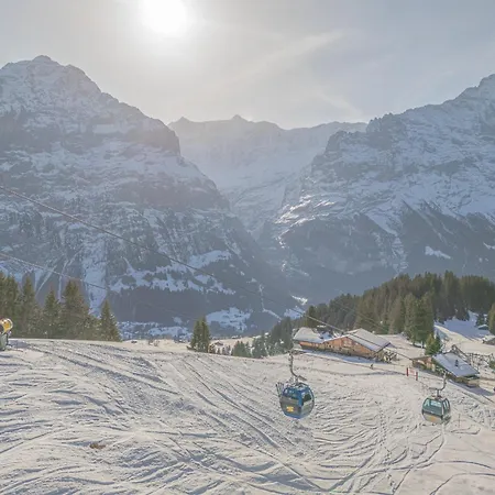 Alpinhotel Bort Отель Гриндельвальд