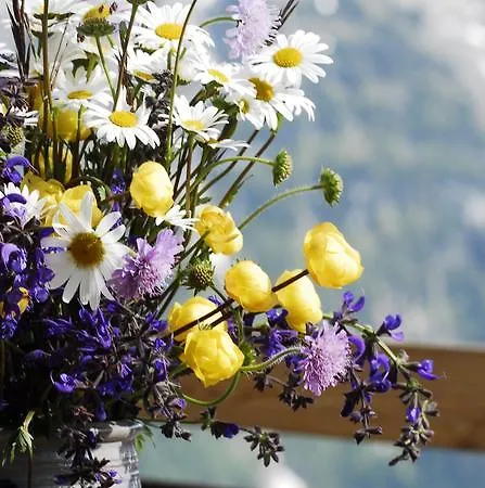 Hotel Alpinhotel Bort Grindelwald