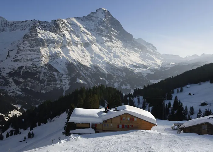 Отель Alpinhotel Bort 3*