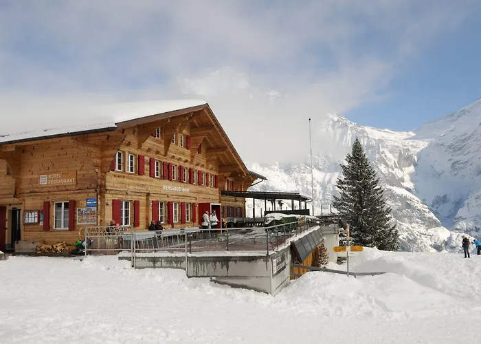 Alpinhotel Bort Отель