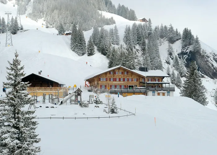 Alpinhotel Bort Отель Гриндельвальд