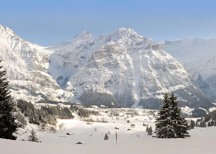 Отель Alpinhotel Bort