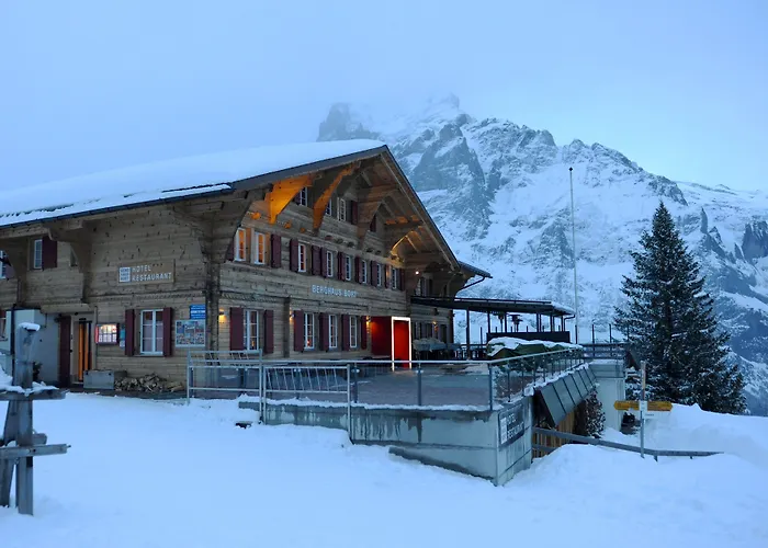 Отель Alpinhotel Bort