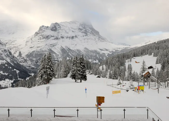 Alpinhotel Bort 3* Гриндельвальд