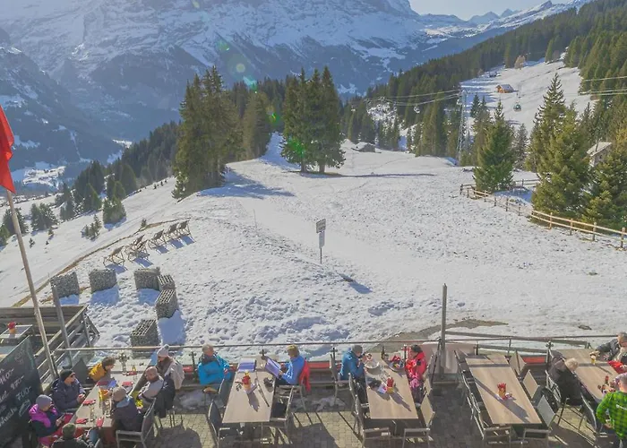 Отель Alpinhotel Bort Гриндельвальд