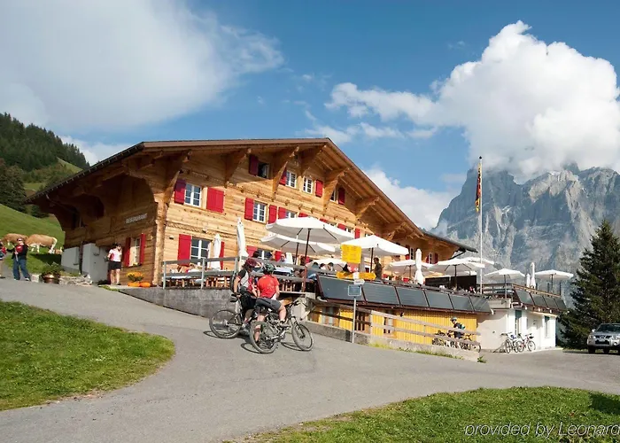 Alpinhotel Bort Отель Гриндельвальд