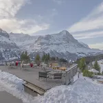 Alpinhotel Bort 3* Grindelwald