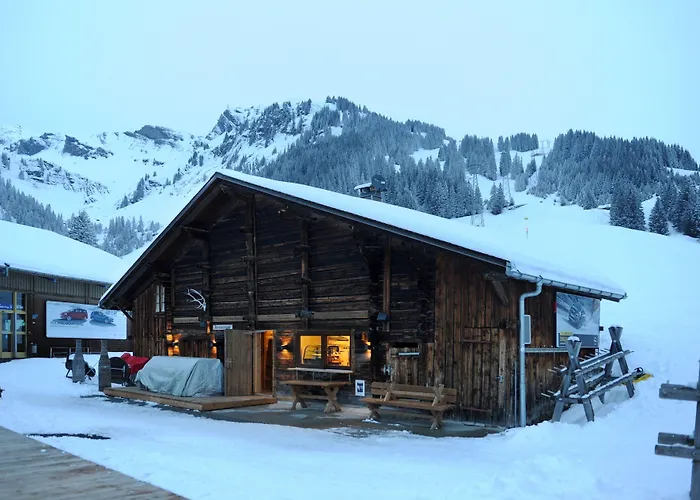 Alpinhotel Bort Hotel Grindelwald