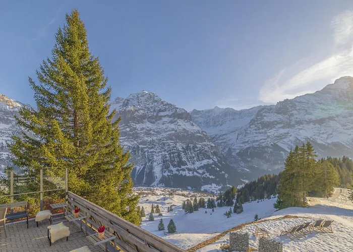 Hotel Alpinhotel Bort Grindelwald